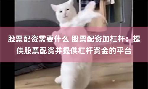 股票配资需要什么 股票配资加杠杆：提供股票配资并提供杠杆资金的平台