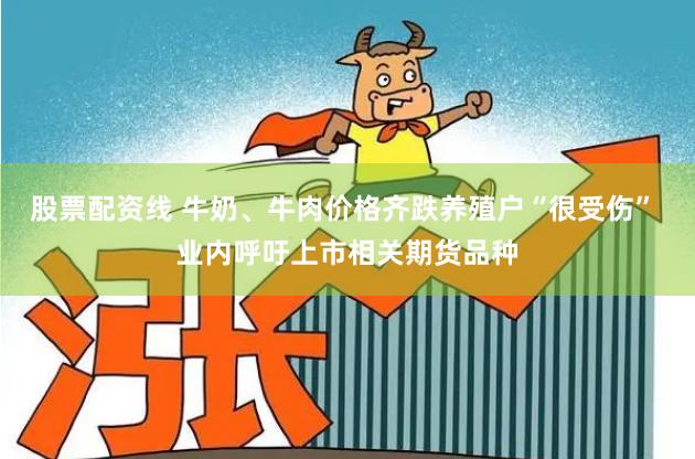 股票配资线 牛奶、牛肉价格齐跌养殖户“很受伤” 业内呼吁上市相关期货品种