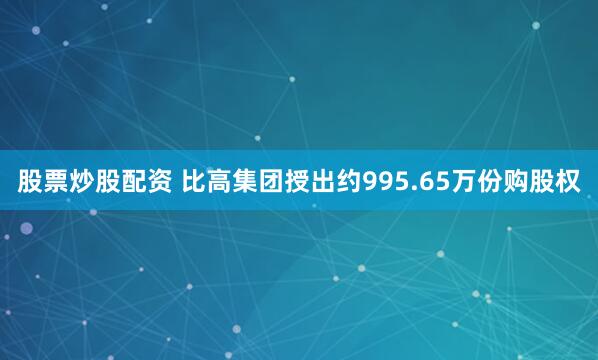 股票炒股配资 比高集团授出约995.65万份购股权