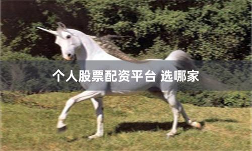 个人股票配资平台 选哪家